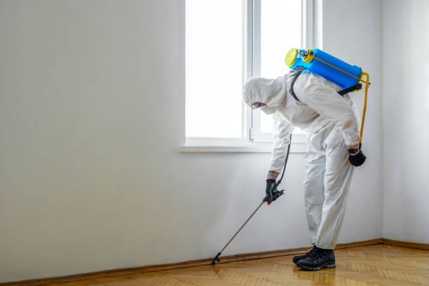 Real Estate Pest Inspections in Covelo, CA